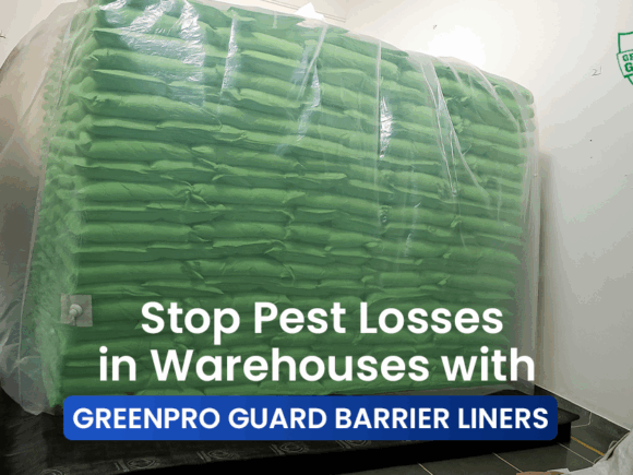 Tired of Pest Infestation in Warehouses? Switch to Indoor Hermetic Storage