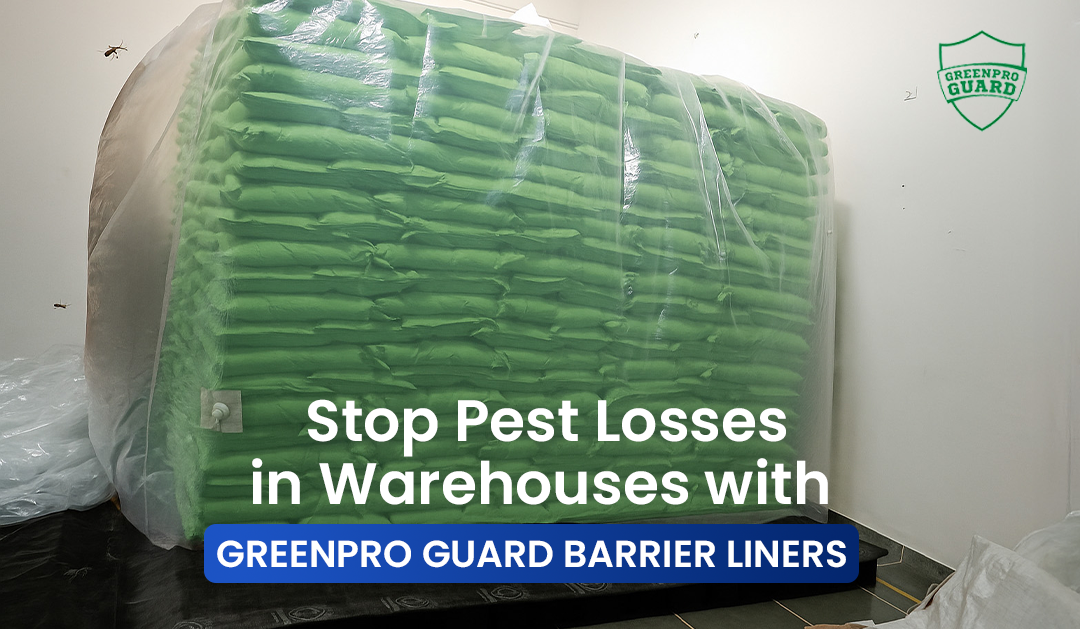 Tired of Pest Infestation in Warehouses? Switch to Indoor Hermetic Storage