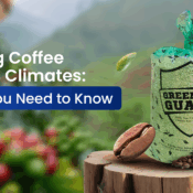 Coffee Storage Requirements