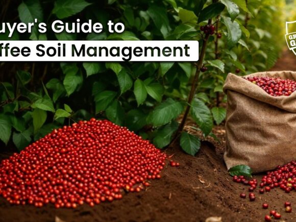 The Hidden Foundation: How Soil Health Determines Coffee Quality