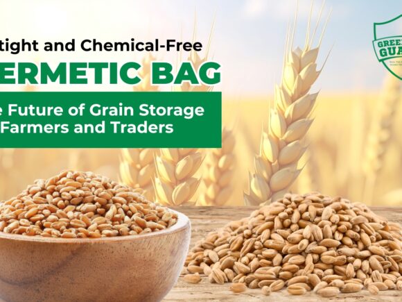 How Hermetic Storage Prevents Moisture Damage in the Indian Climate