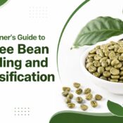 coffee bean grading and classification