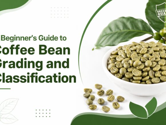 A Beginner’s Guide to Coffee Bean Grading and Classification